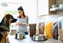 Freeze-Dried Raw Pet Food: Safety Questions Smart Pet Owners Should Ask First freeze dried pet food safety