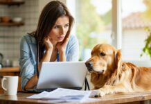 How to Choose a Pet Shipping Company Without Getting Scammed avoid pet shipping scams