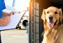 How to Read and Complete an Airline’s Live Animal Acceptance Checklist live animal handling checklist