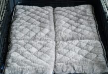 The Best Absorbent Crate Liners for Long Flights That Won’t Bunch Up non bunching long haul crate liners