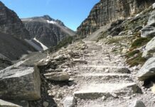 When a Trail Is Too Technical for Any Dog: Honest Red Flags overly technical trail warning signs