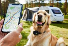 How to Set Up Geofencing Alerts on a Dog GPS Collar for Travel set up travel geofence alerts