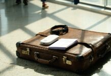 Smart Tags vs. GPS Collars: Which Survives International Travel Better smart tags vs gps travel