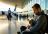 The Layover Trap: Transiting Countries With Their Own Pet Rules transit with strict pet rules