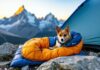Ultralight Dog Sleeping Systems for Backpacking Above the Treeline treeline ultralight dog sleeping system