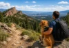 Best Hiking Trails Near Denver: A Local’s Complete Guide by Zone, Season, and Dog-Friendliness best hiking trails near denver