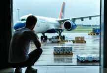 What to Do When Your Flight Is Delayed and Your Dog Is in Cargo delayed flight pet care