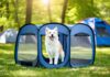 The Best Portable Playpens for Containing a Dog During Camp Setup portable dog playpens needed