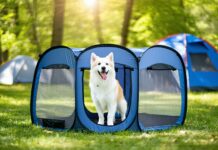 The Best Portable Playpens for Containing a Dog During Camp Setup portable dog playpens needed
