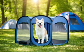 The Best Portable Playpens for Containing a Dog During Camp Setup portable dog playpens needed
