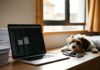 A Walkthrough of the USDA VEHCS Online Health Certificate System usda veterinary health certificates