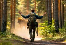 How to Manage Trail Encounters With Moose, Elk, and Mountain Lions wildlife safety precautions needed